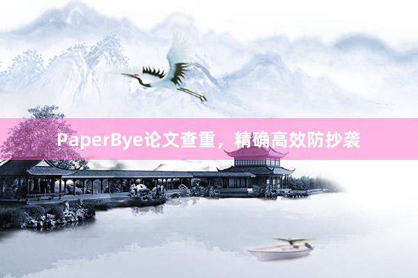 PaperBye论文查重，精确高效防抄袭
